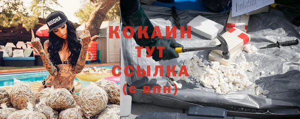 мяу мяу мука Белокуриха