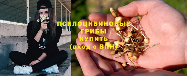 первитин Белоозёрский