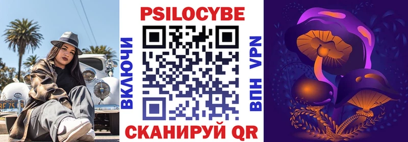 Галлюциногенные грибы Psilocybe  Купить где  Алзамай 